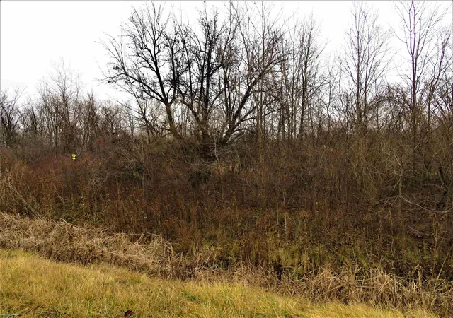 Photo 7 of Land for sale at 62800 Gratiot Rd, Lenox, MI 48048 | MLS# 58050098625 | Listing updated on 2026-09-02