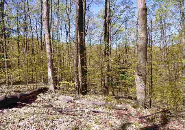 1st image of Parcel B Broken Arrow, East Jordan, MI 49727 | MLS# 78080003092