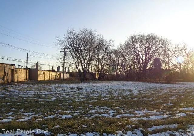 image of 14404 Manning St, Detroit, MI 48205 | MLS# 20230005960