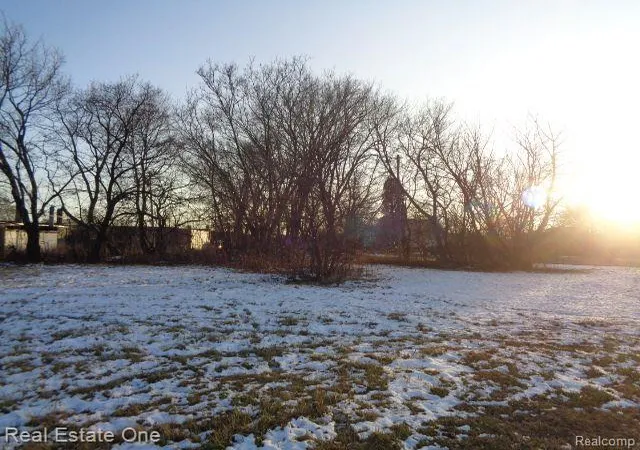image of 14404 Manning St, Detroit, MI 48205 | MLS# 20230005960