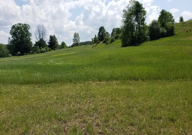 4th image of Lot 38 Alden Mdws, Alden, MI 49612 | MLS# 78080004212