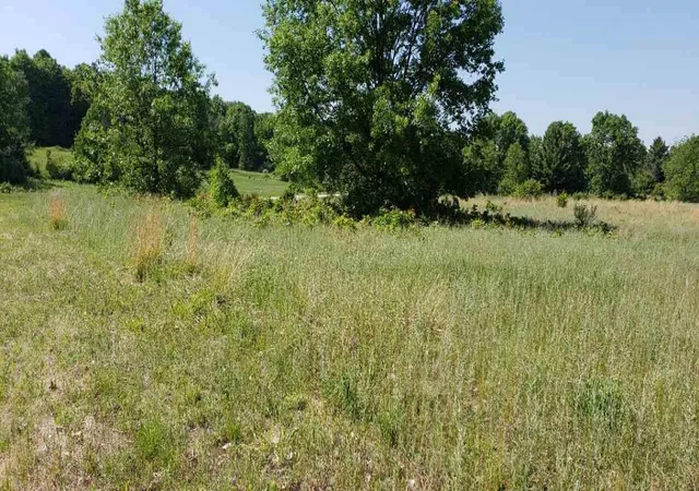 5th image of Lot 34 Alden Mdws, Alden, MI 49612 | MLS# 78080004213