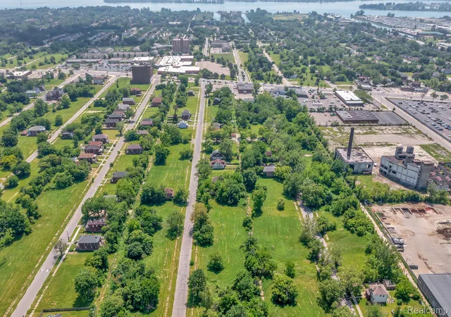 Homes for sale in Detroit, MI | 1526 Dickerson St, Detroit, MI 48215 | MLS# 20230015903