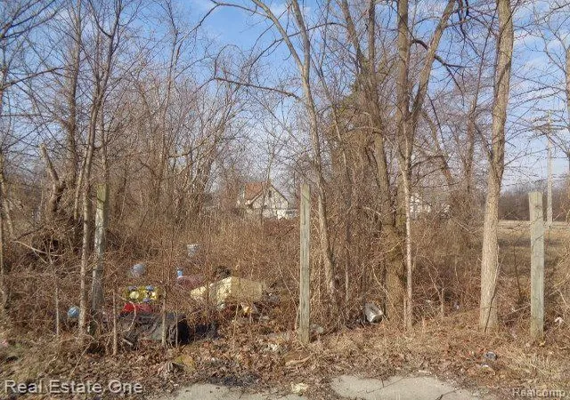 Photo 1 of Land for sale at 4293 16th Street, Detroit, MI 48208 | MLS# 20230021685 | Listing updated on 2026-01-21