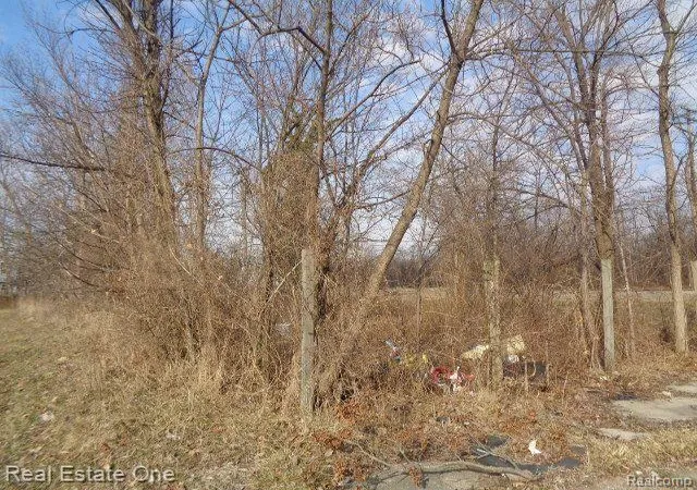 Photo 1 of Land for sale at 4293 16th Street, Detroit, MI 48208 | MLS# 20230021685 | Listing updated on 2026-01-21