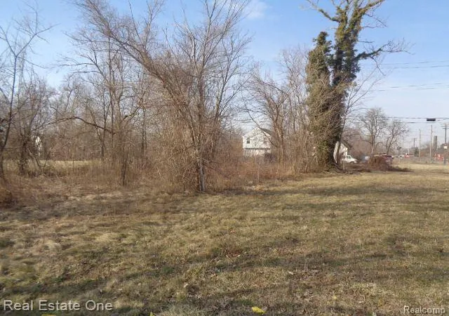 Photo 2 of Land for sale at 4293 16th Street, Detroit, MI 48208 | MLS# 20230021685 | Listing updated on 2026-01-21