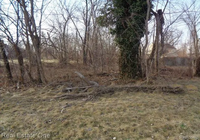Photo 3 of Land for sale at 4293 16th Street, Detroit, MI 48208 | MLS# 20230021685 | Listing updated on 2026-01-21