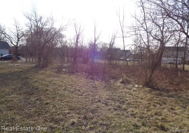 Photo 4 of Land for sale at 4293 16th Street, Detroit, MI 48208 | MLS# 20230021685 | Listing updated on 2026-01-21