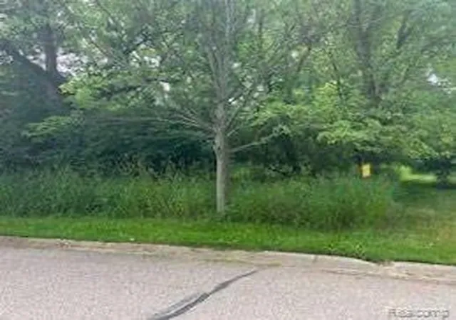 3rd image of 0 N Island, Flushing Charter Township Genesee, MI 48433 | MLS# 20230029447