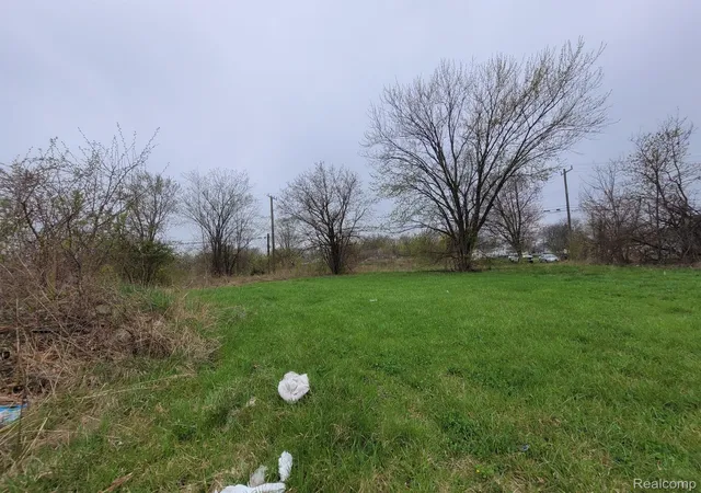 Photo 3 of Land for sale at 3927 Beaconsfield St, Detroit, MI 48224 | MLS# 20230030954 | Listing updated on 2026-06-25