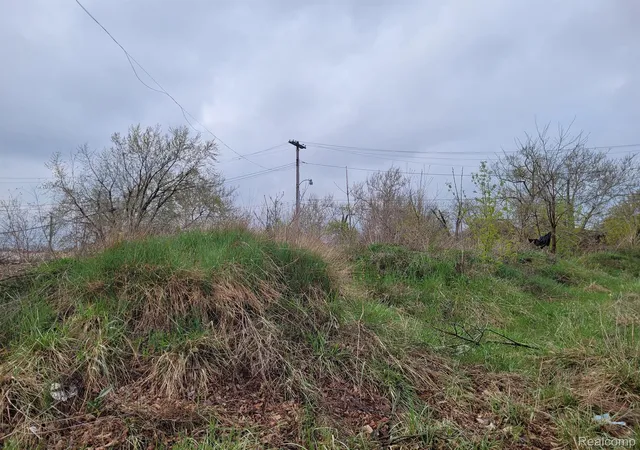 Photo 1 of Land for sale at 3332 Rochester St, Detroit, MI 48206 | MLS# 20230031050 | Listing updated on 2026-10-26