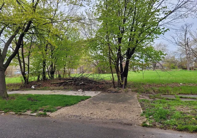Photo 2 of Land for sale at 3346 Rochester St, Detroit, MI 48206 | MLS# 20230031065 | Listing updated on 2026-10-26