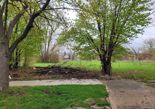 Photo 1 of Land for sale at 3346 Rochester St, Detroit, MI 48206 | MLS# 20230031065 | Listing updated on 2026-10-26