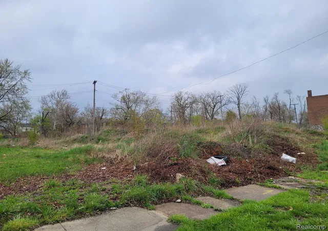 Photo 2 of Land for sale at 3324 Rochester St, Detroit, MI 48206 | MLS# 20230031088 | Listing updated on 2026-10-26