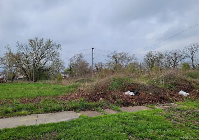 Photo 1 of Land for sale at 3324 Rochester St, Detroit, MI 48206 | MLS# 20230031088 | Listing updated on 2026-10-26