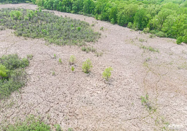 Photo 3 of Land for sale at 15000 North Rd, Fenton, MI 48430 | MLS# 20230036659 | Listing updated on 2026-03-30
