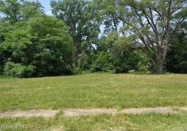 3rd image of 14605 Dacosta St, Detroit, MI 48223 | MLS# 20230049133