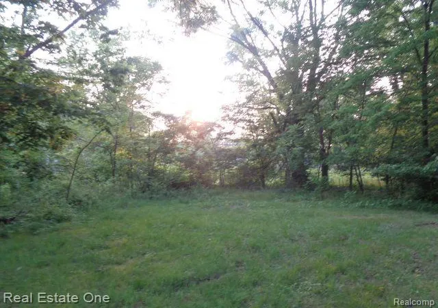 4th image of 14549 Dacosta St, Detroit, MI 48223 | MLS# 20230049152