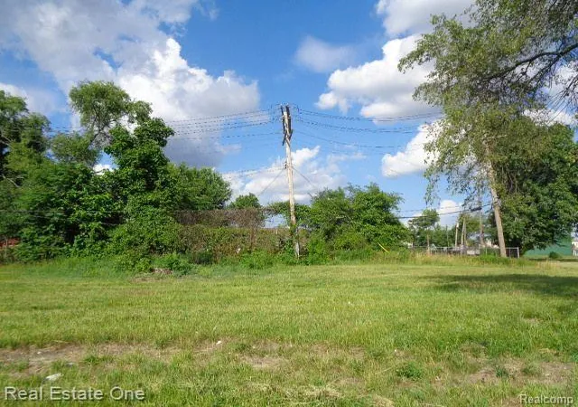 Photo 1 of Land for sale at 3620 30th St, Detroit, MI 48210 | MLS# 20230051588 | Listing updated on 2026-01-21