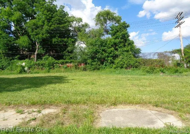 Photo 2 of Land for sale at 3620 30th St, Detroit, MI 48210 | MLS# 20230051588 | Listing updated on 2026-01-21