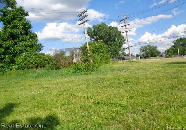 Photo 3 of Land for sale at 3620 30th St, Detroit, MI 48210 | MLS# 20230051588 | Listing updated on 2026-01-21