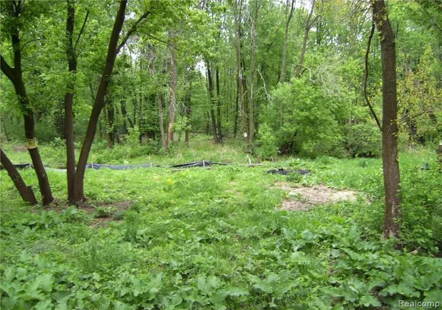 Photo 3 of Land for sale at 3268 Perry Ct, Grand Blanc, MI 48439 | MLS# 20230051789 | Listing updated on 2026-03-26