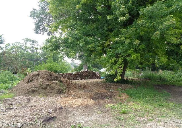 Photo 4 of Land for sale at 2927 Rosa Parks Blvd, Detroit, MI 48216 | MLS# 20230052403 | Listing updated on 2026-05-22