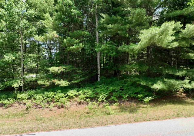 Photo 3 of Land for sale at Lot 5 White Pine Dr, Cadillac, MI 49601 | MLS# 78080008385 | Listing updated on 2026-07-03