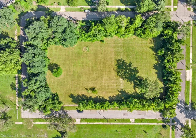 Photo 4 of Land for sale at 530 S Colonial St, Detroit, MI 48217 | MLS# 20230067949 | Listing updated on 2026-07-06