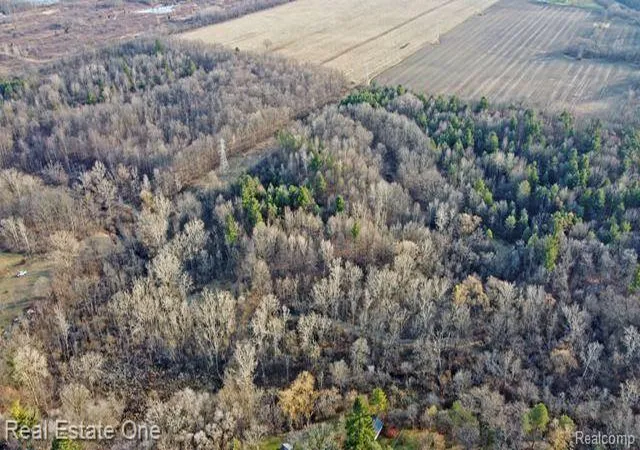 Photo 2 of Land for sale at 0 W Vienna, Clio, MI 48420 | MLS# 20230077147 | Listing updated on 2026-08-24