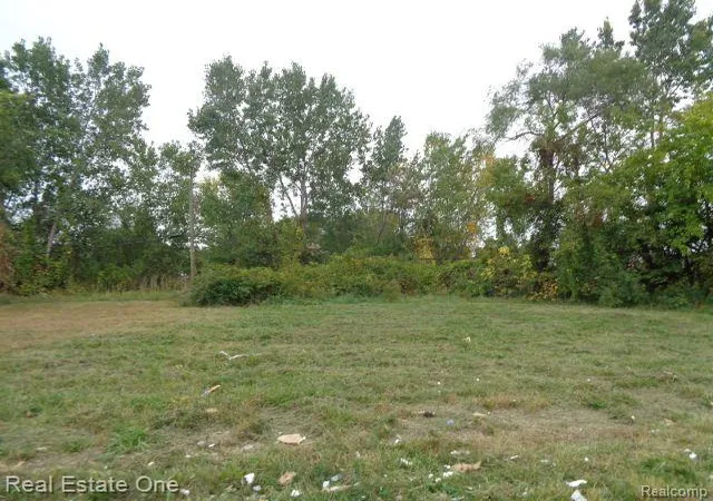 Photo 2 of Land for sale at 2628 Hunt St, Detroit, MI 48207 | MLS# 20230082497 | Listing updated on 2026-07-30