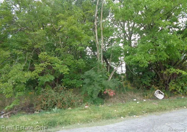 Photo 3 of Land for sale at 2628 Hunt St, Detroit, MI 48207 | MLS# 20230082497 | Listing updated on 2026-07-30