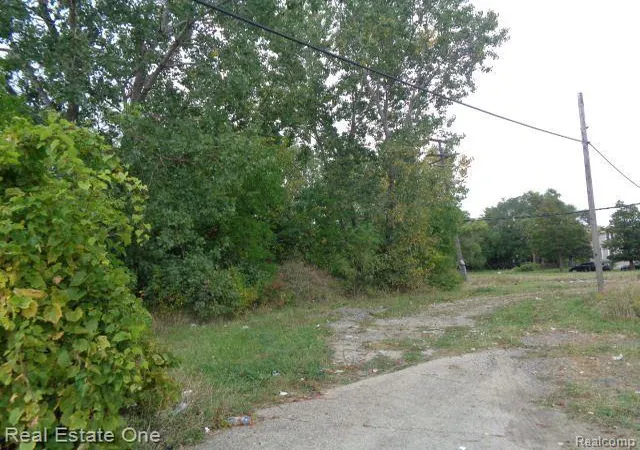 Photo 3 of Land for sale at 2628 Hunt St, Detroit, MI 48207 | MLS# 20230082497 | Listing updated on 2026-07-30