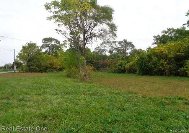 Photo 3 of Land for sale at 5266 Linwood St, Detroit, MI 48208 | MLS# 20230083451 | Listing updated on 2026-07-06