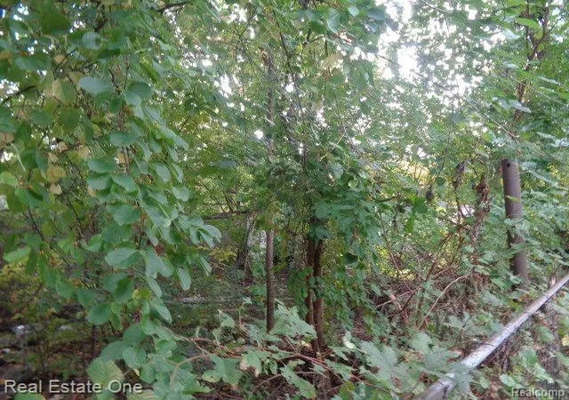 Photo 4 of Single family home for sale at 2971 Seyburn St, Detroit, MI 48214 | MLS# 20230087159 | Listing updated on 2026-07-06