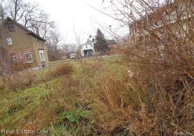 Photo 2 of Land for sale at 568 E Bethune St, Detroit, MI 48202 | MLS# 20230101923 | Listing updated on 2026-01-21