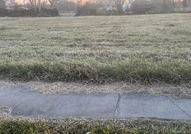 Photo 2 of Land for sale at 9041 Chrysler Dr, Detroit, MI 48211 | MLS# 20230103527 | Listing updated on 2026-06-23