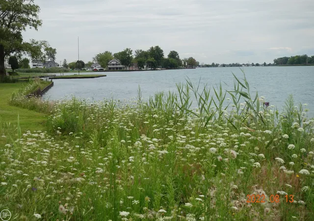 Photo 3 of Land for sale at 9450 S Channel, Harsens Island, MI 48028 | MLS# 58050131353 | Listing updated on 2026-08-25