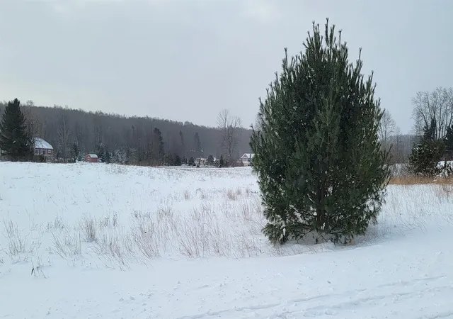 3rd image of Lot 44 Alden Mdws, Alden, MI 49612 | MLS# 78080014074