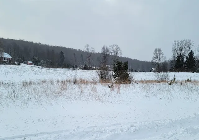 4th image of Lot 44 Alden Mdws, Alden, MI 49612 | MLS# 78080014074