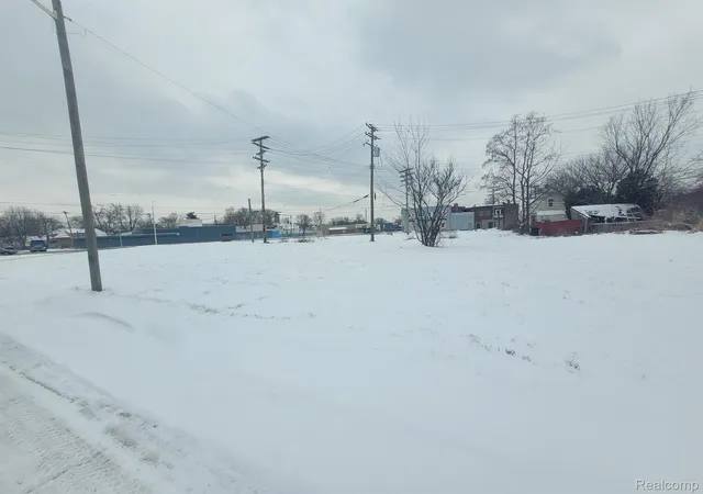 3rd image of 3643 30th St, Detroit, MI 48210 | MLS# 20240003625