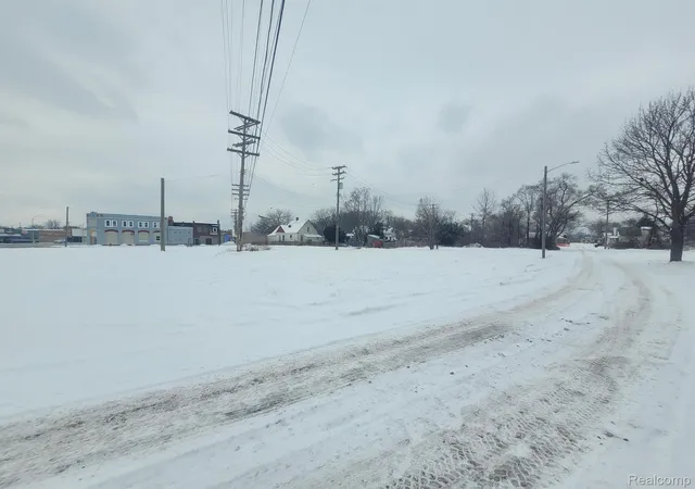 4th image of 3643 30th St, Detroit, MI 48210 | MLS# 20240003625