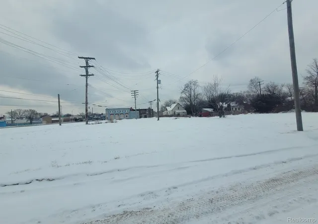 5th image of 3643 30th St, Detroit, MI 48210 | MLS# 20240003625