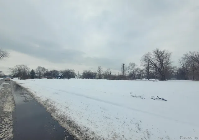 Photo 3 of Land for sale at 4253 Lawton St, Detroit, MI 48208 | MLS# 20240003630 | Listing updated on 2026-06-16