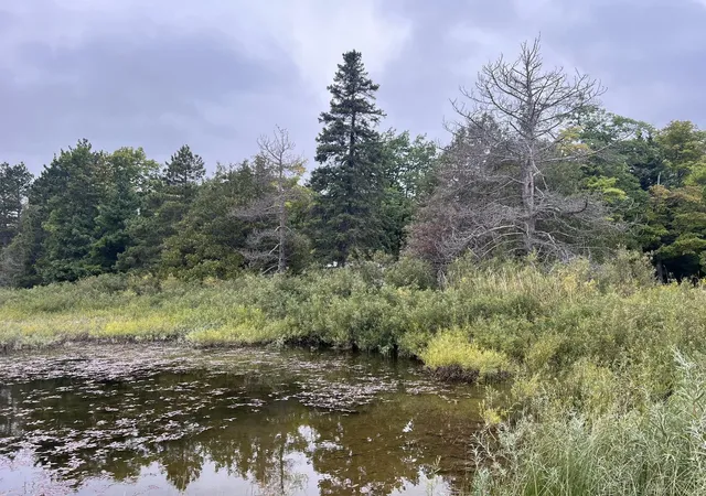 Photo 4 of Single family home for sale at 30410 Co Rd 407 Rd, Newberry, MI 49868 | MLS# 58050133513 | Listing updated on 2026-08-24