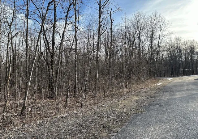 3rd image of Lot 351 Dellwood, Elmira, MI 49730 | MLS# 78080015361