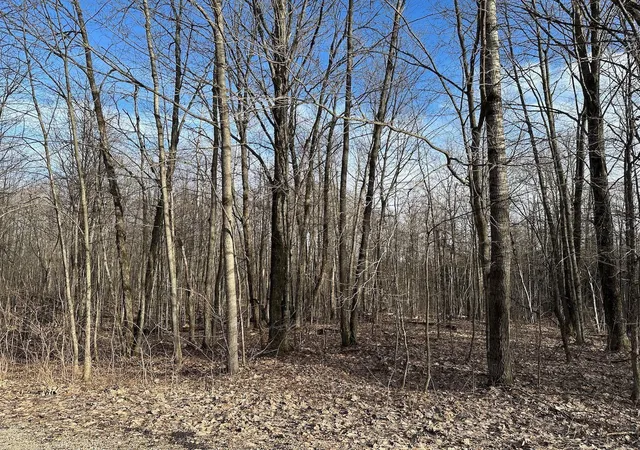 4th image of Lot 351 Dellwood, Elmira, MI 49730 | MLS# 78080015361