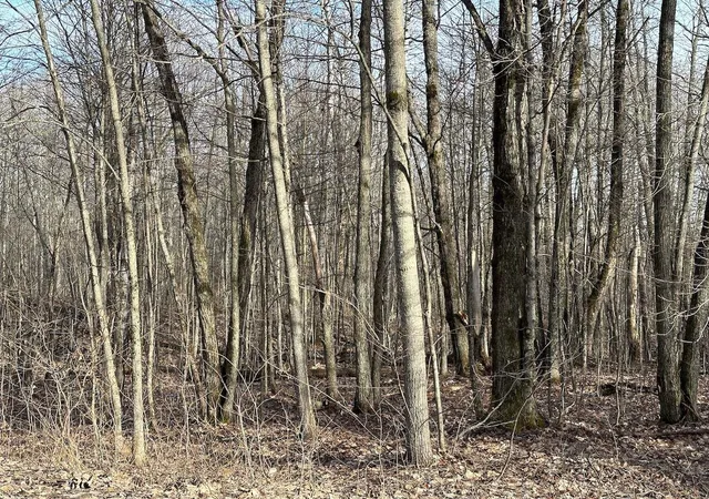 5th image of Lot 351 Dellwood, Elmira, MI 49730 | MLS# 78080015361