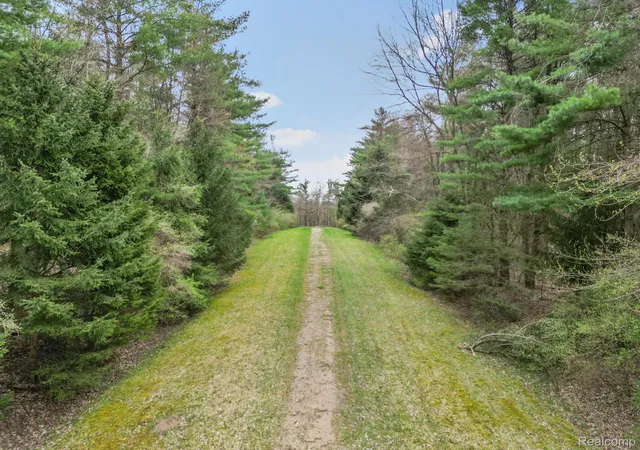 2nd image of 1101 Acres Vacant Land Knights Bridge Rd, Leonard, MI 48367 | MLS# 20240022787