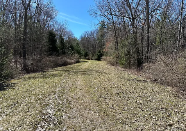 Photo 3 of Land for sale at 1101 Acres Vacant Land Knights Bridge Rd, Leonard, MI 48367 | MLS# 20240022787 | Listing updated on 2026-09-03